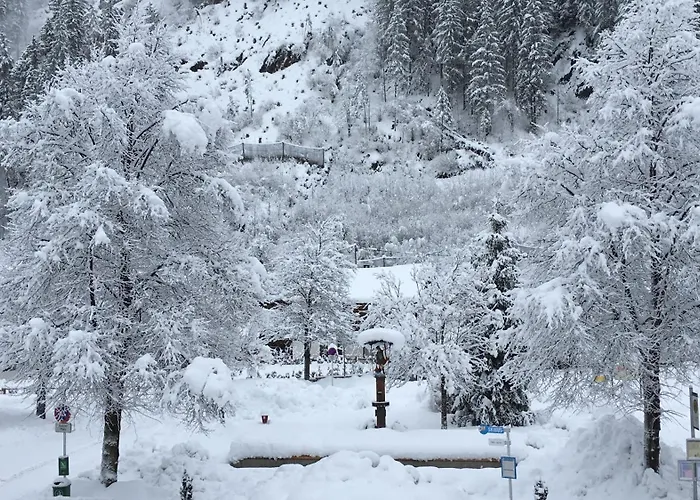 Sonnenappartement Appartement