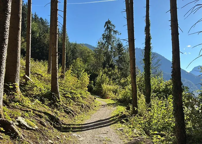 Sonnenappartement * Mayrhofen