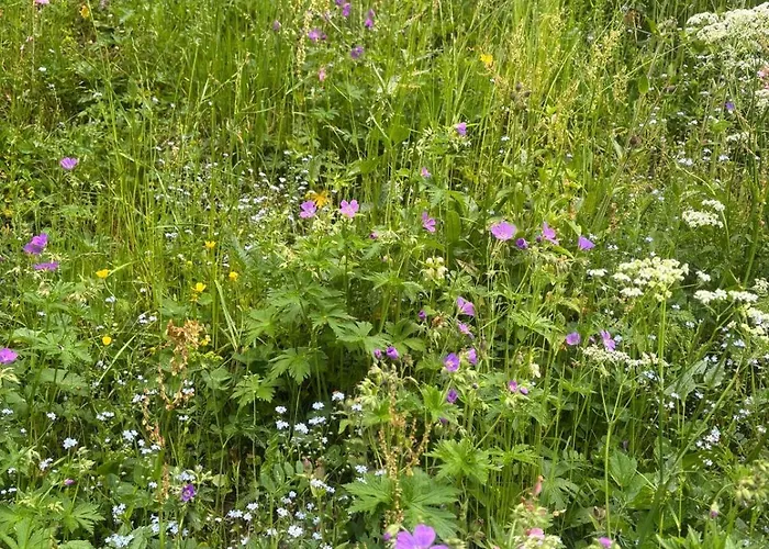 Διαμέρισμα Sonnenappartement Mayrhofen