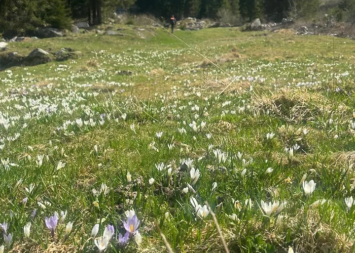 Sonnenappartement Appartement *