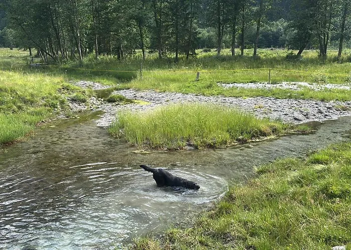 דירה Sonnenappartement *